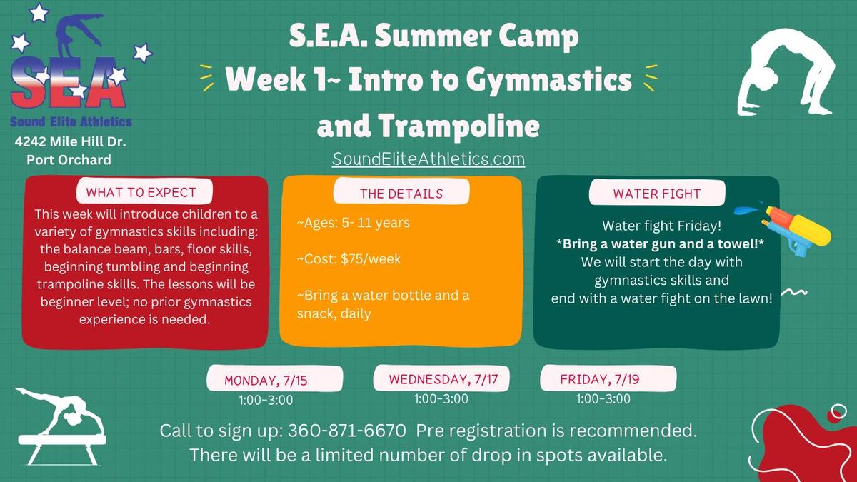 Summer Camp Intro to Gymnastics & Trampoline 