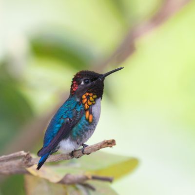 The Hummingbird Music and Art Centre