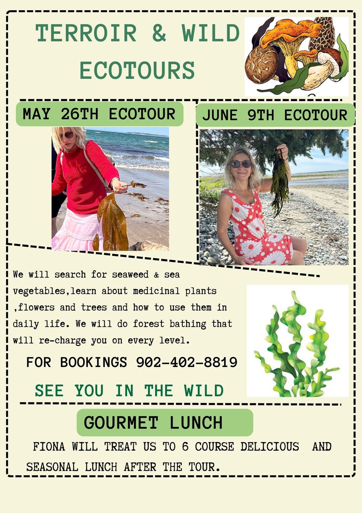 Wild Foraging Ecotour with Gourmet Lunch