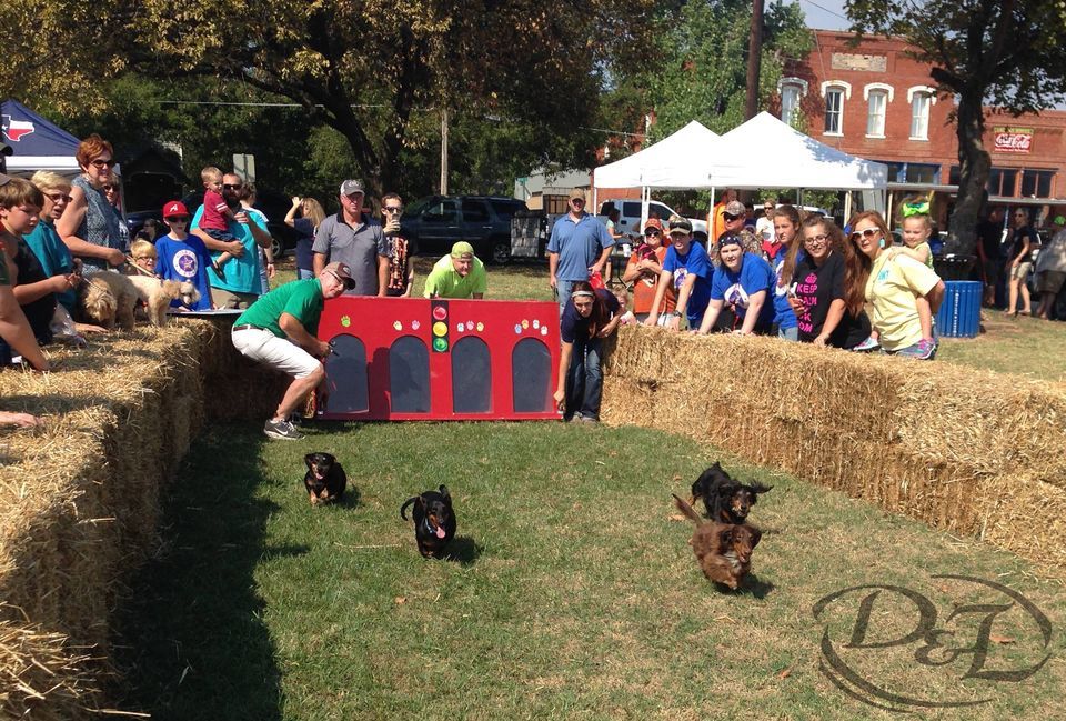 Celina Oktoberfest Dachshund Derby sponsored by D&L Farm and Home