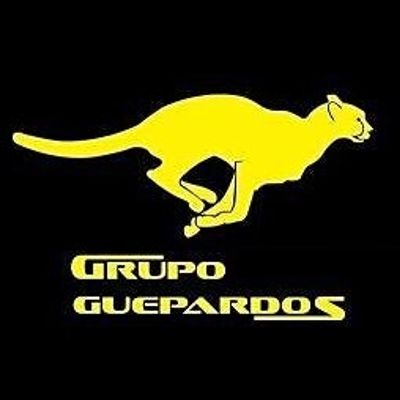 Grupo Guepardos