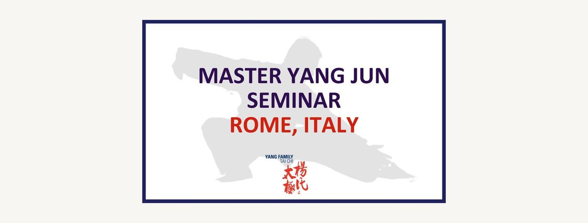 Master Yang Jun Seminar - Instructors Seminar - Rome, Italy