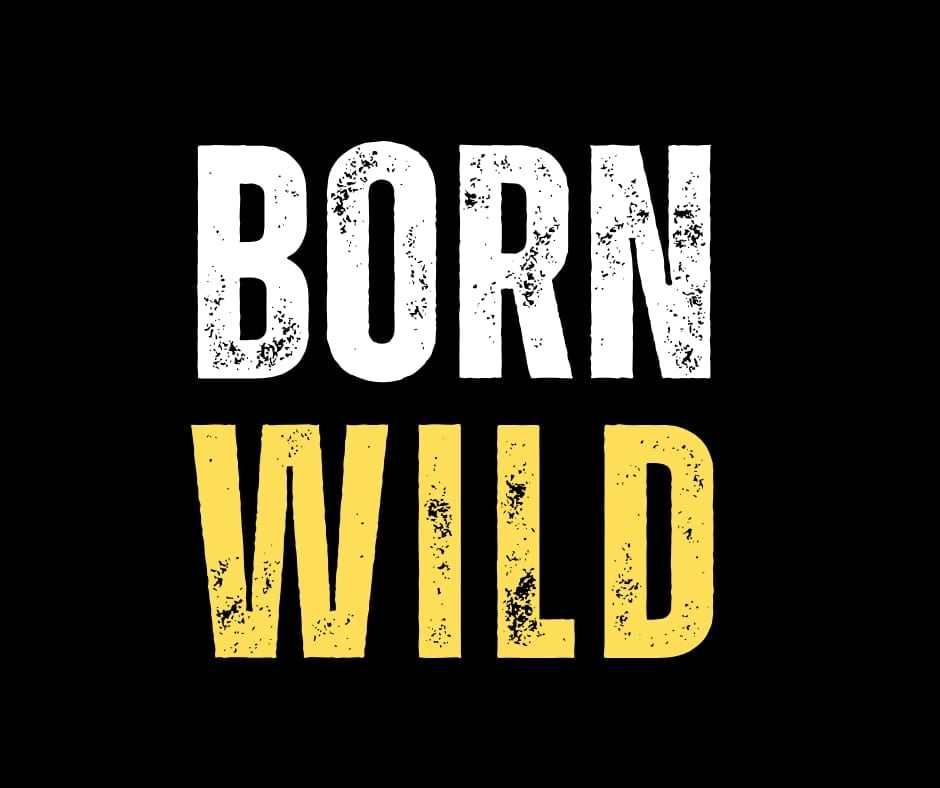 BORN WILD at the P&C 