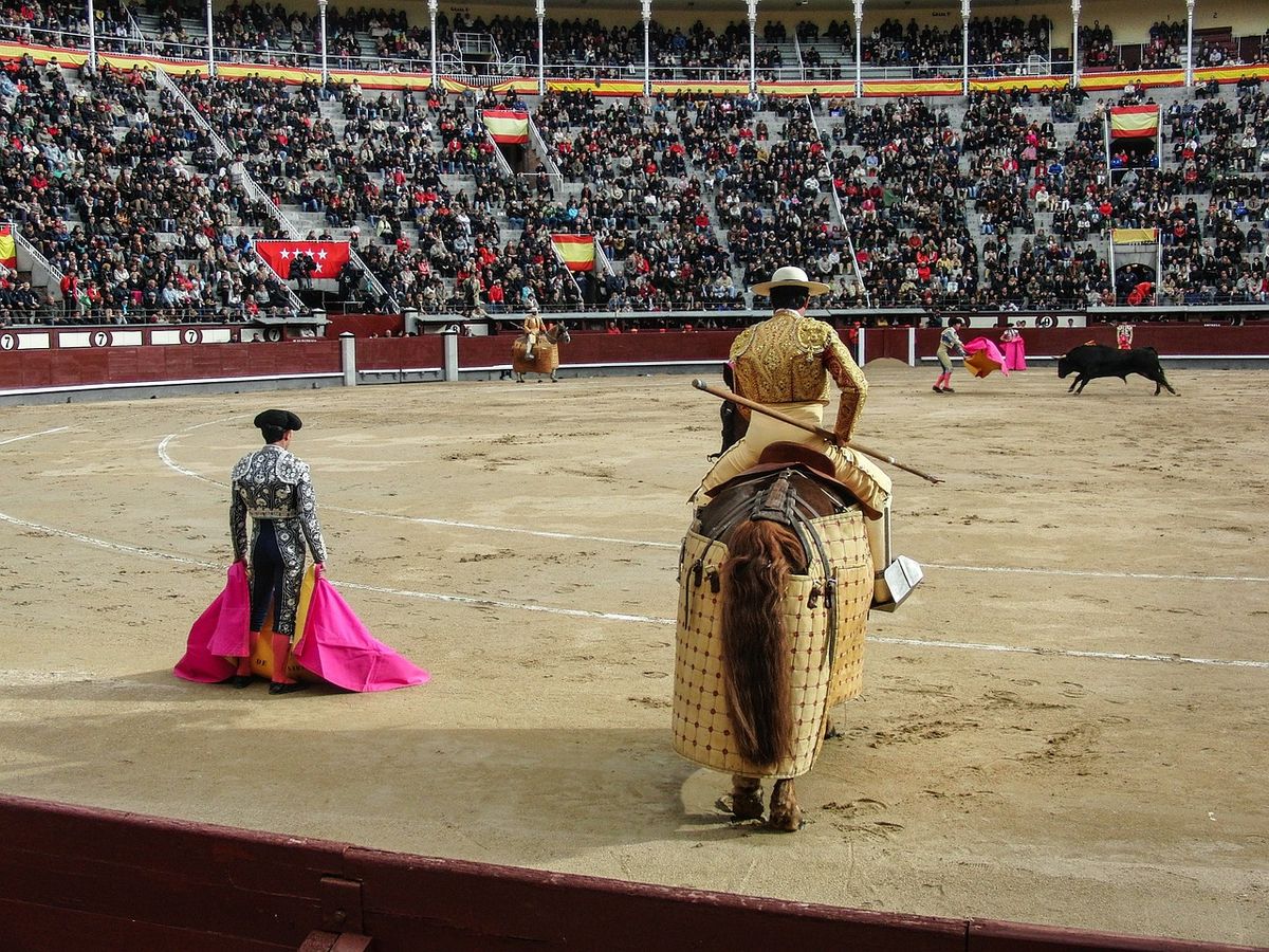 Bullfighting Madrid 2025 - Novillada Tickets