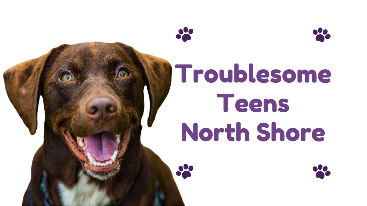 Troublesome Teens Class North Shore