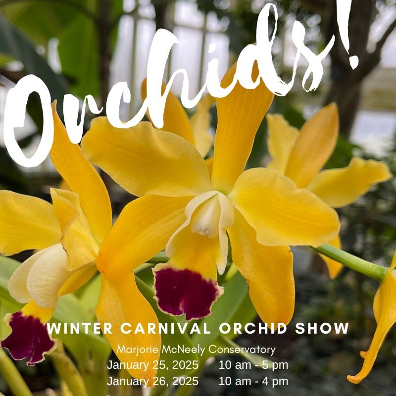 Winter Carnival Orchid Show