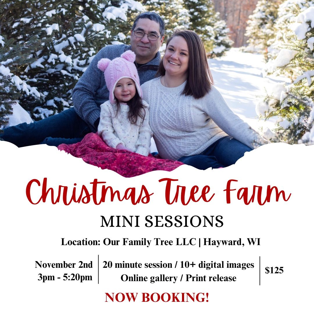 \ud83c\udf32Christmas Tree Farm Mini Sessions \ud83c\udf32