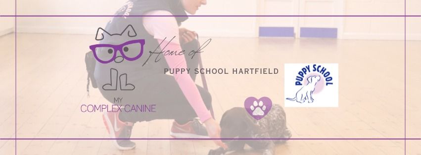 Puppy School Hartfield