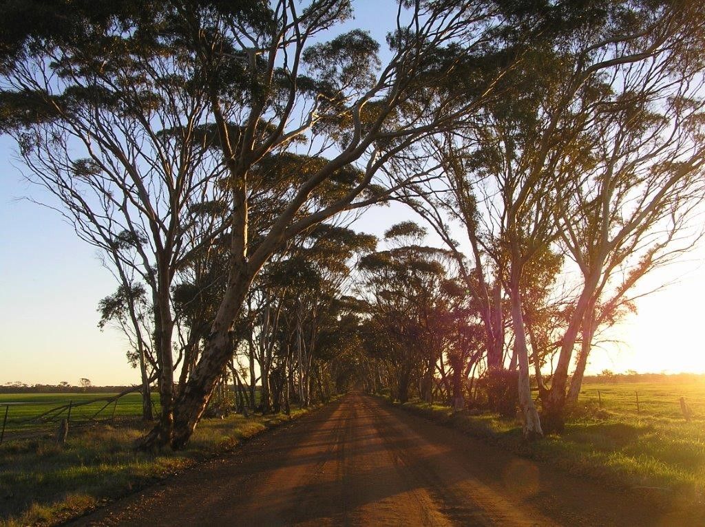 Green Shoots Moora