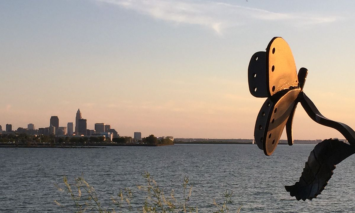 Hidden Secrets of Lakefront Nature Preserve