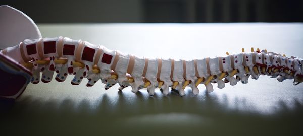 Osteopatijos studijos nuo 2020 rudens
