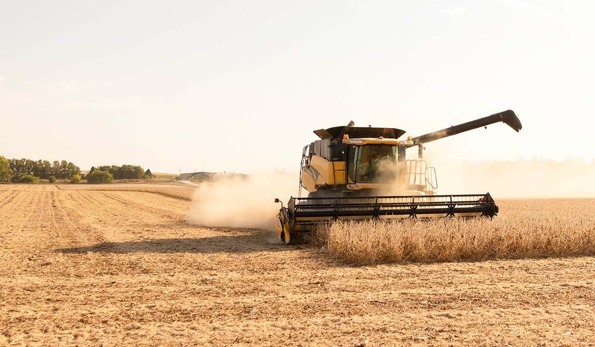 Harvest & Rust