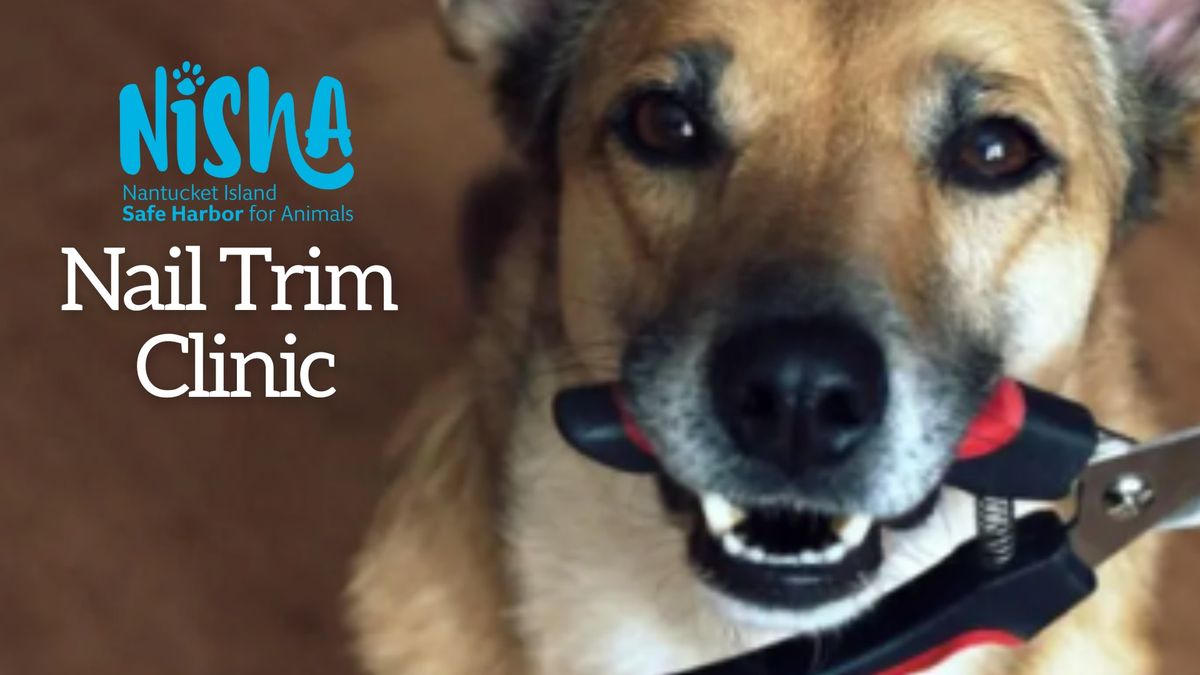 Low Cost Nail Trim Clinics