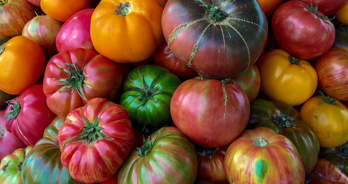 Heirloom Tomato Festival at the Carroll County Farmer's Market