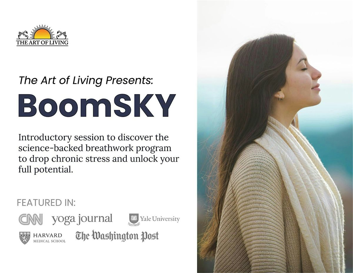 Intro to BoomSKY \u2013 An Unforgettable Experience