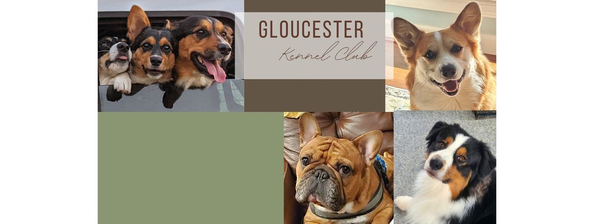 AKC Temperament Test - at Gloucester Kennel Club, Gloucester VA