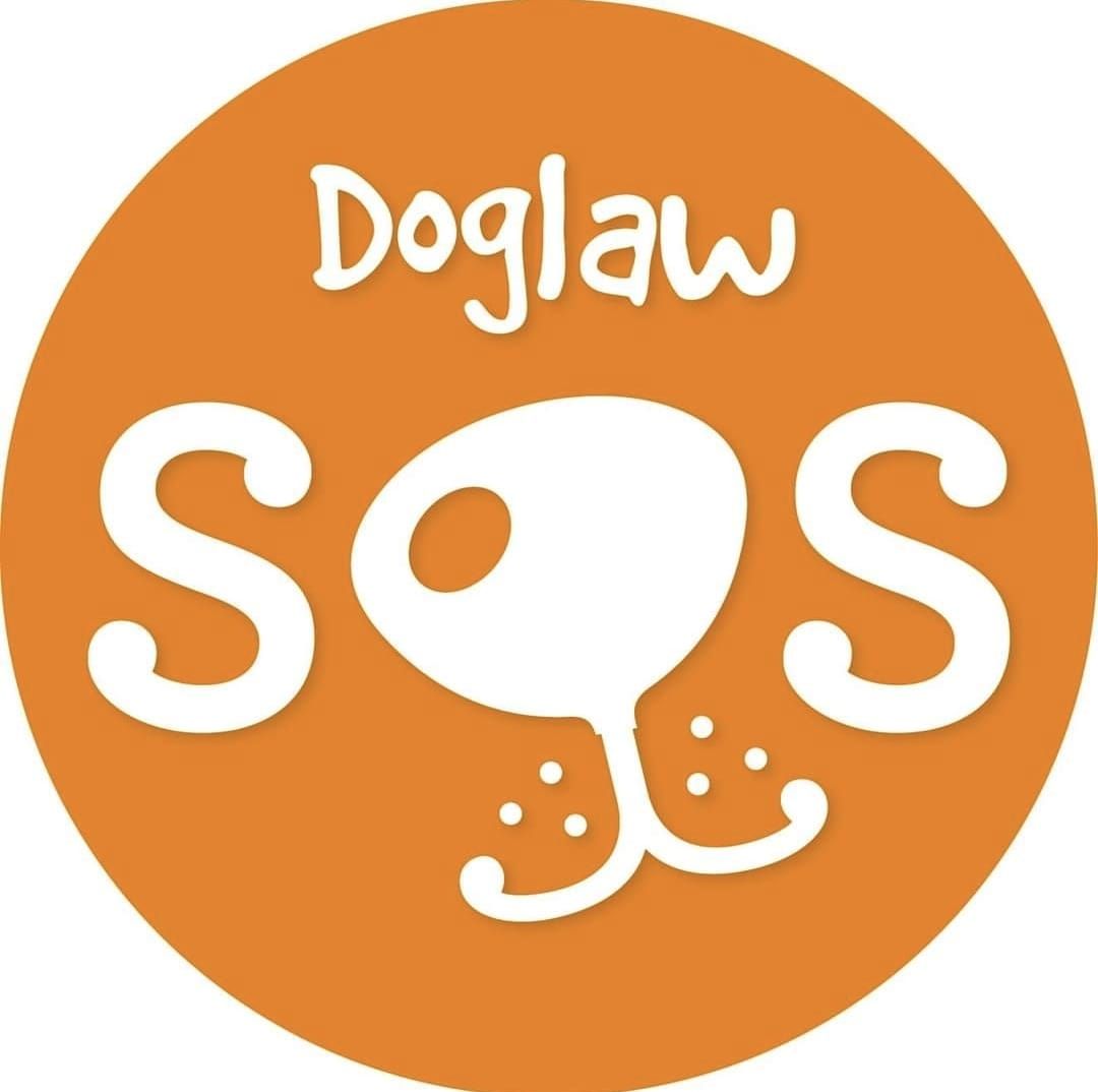 DOGLAW: What Every Dog Owner Needs to Know