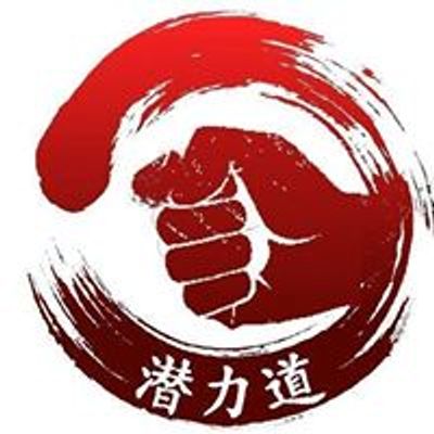 Qian Li Dao Academy NZ (Wing Chun Kung Fu)