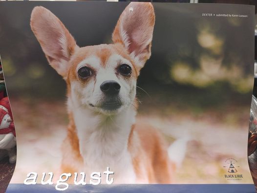 LCHS 2022 Calendar Signing Party!, Community Thrift Market, Supporting LCHS 2022 Calendar Signing Party!, Community Thrift Market, Supporting