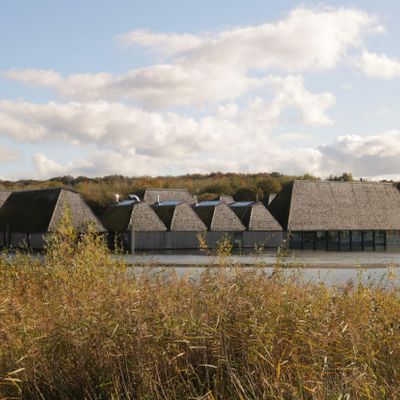 Brockholes Nature Reserve