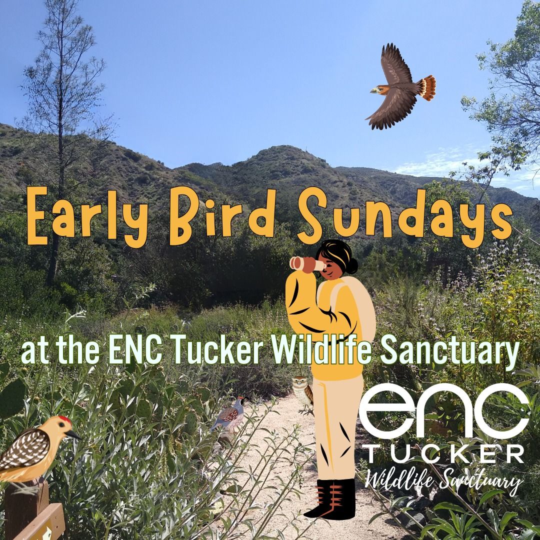 Early Bird Sundays at Tucker