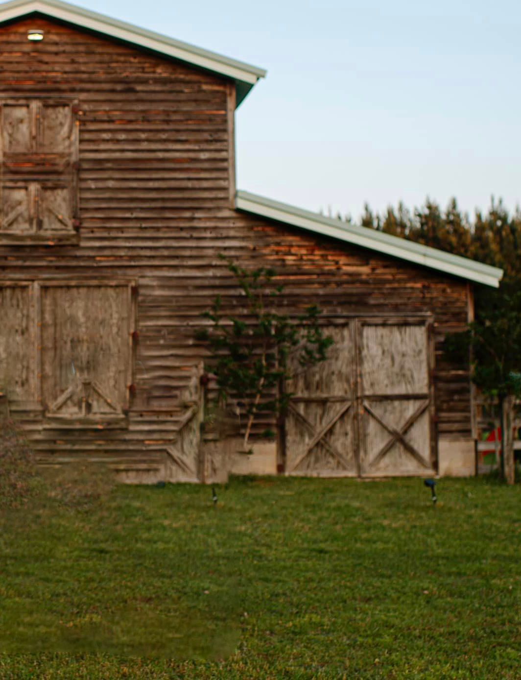  Christmas Barn Mini Sessions