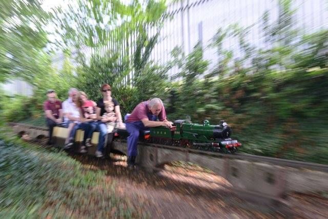 Miniature Train Rides