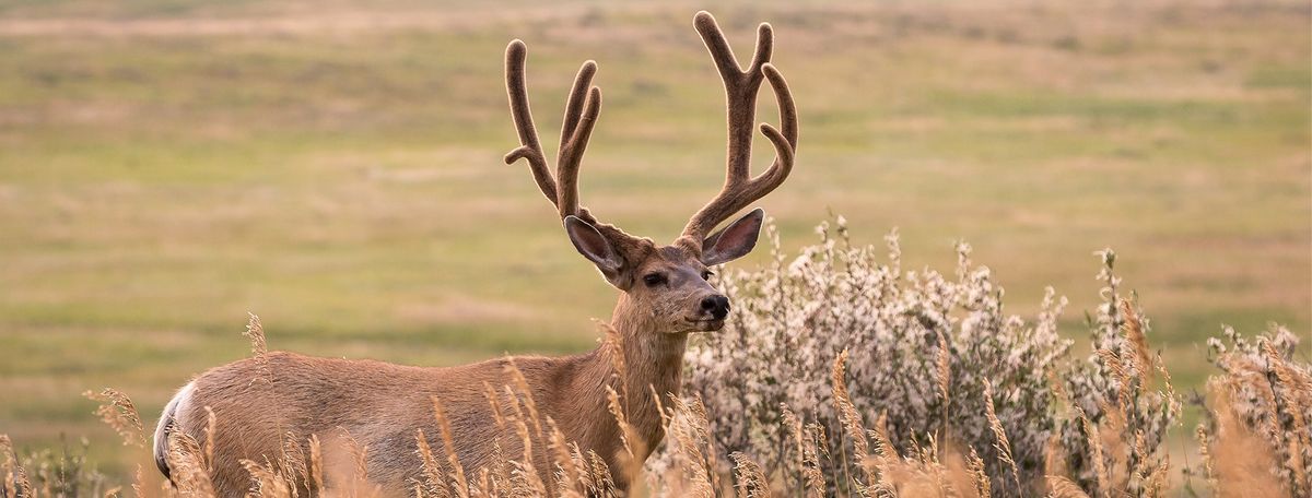 Klamath Falls Chapter- Spring Banquet