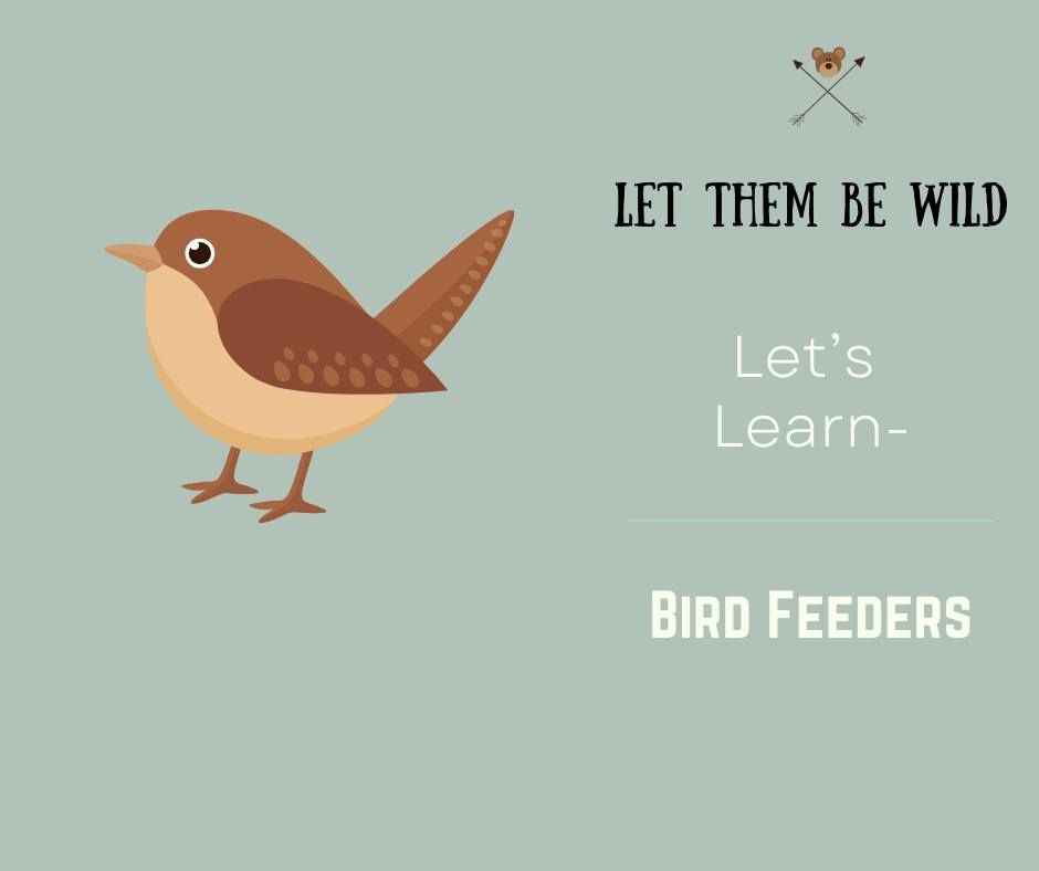 Lets Learn- Bird feeders