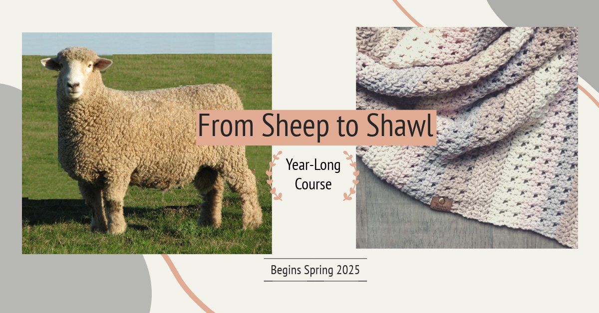 Sheep to Shawl: Year Long Course