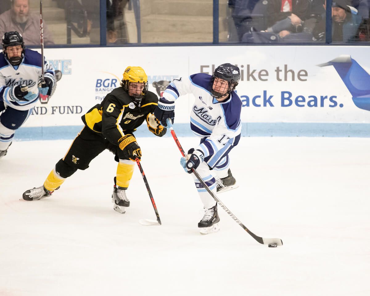 Wheeling Nailers at Maine Mariners