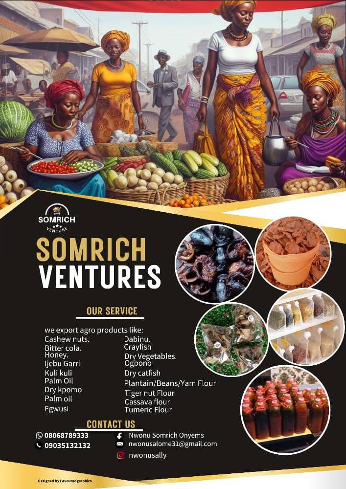 somrich onyems venture global