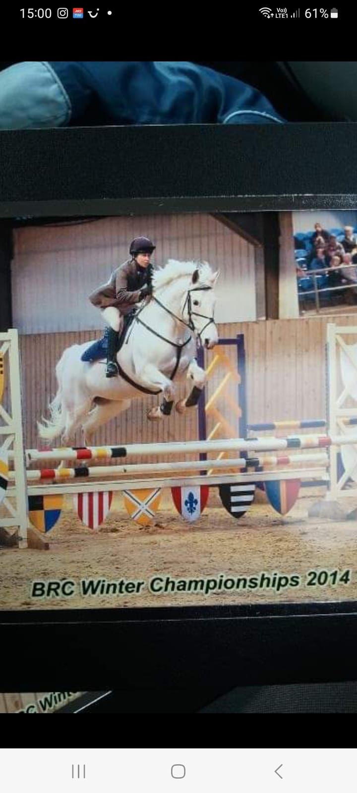 show jumping clinic