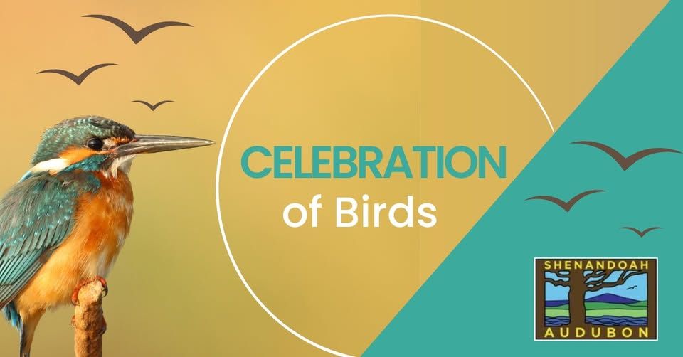 Celebration of Birds! 