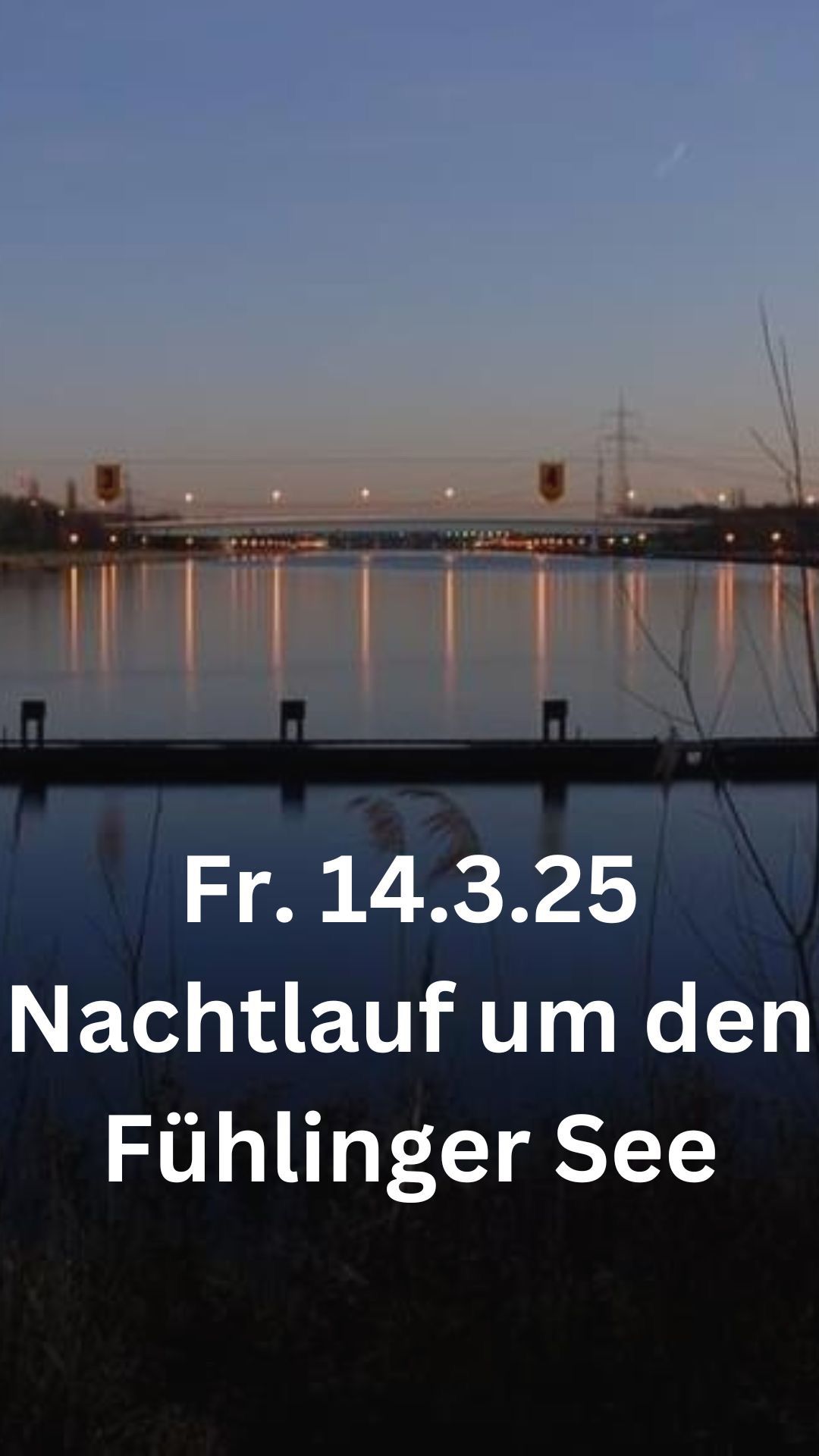 9. Nachtlauf Rund um den F\u00fchlinger See