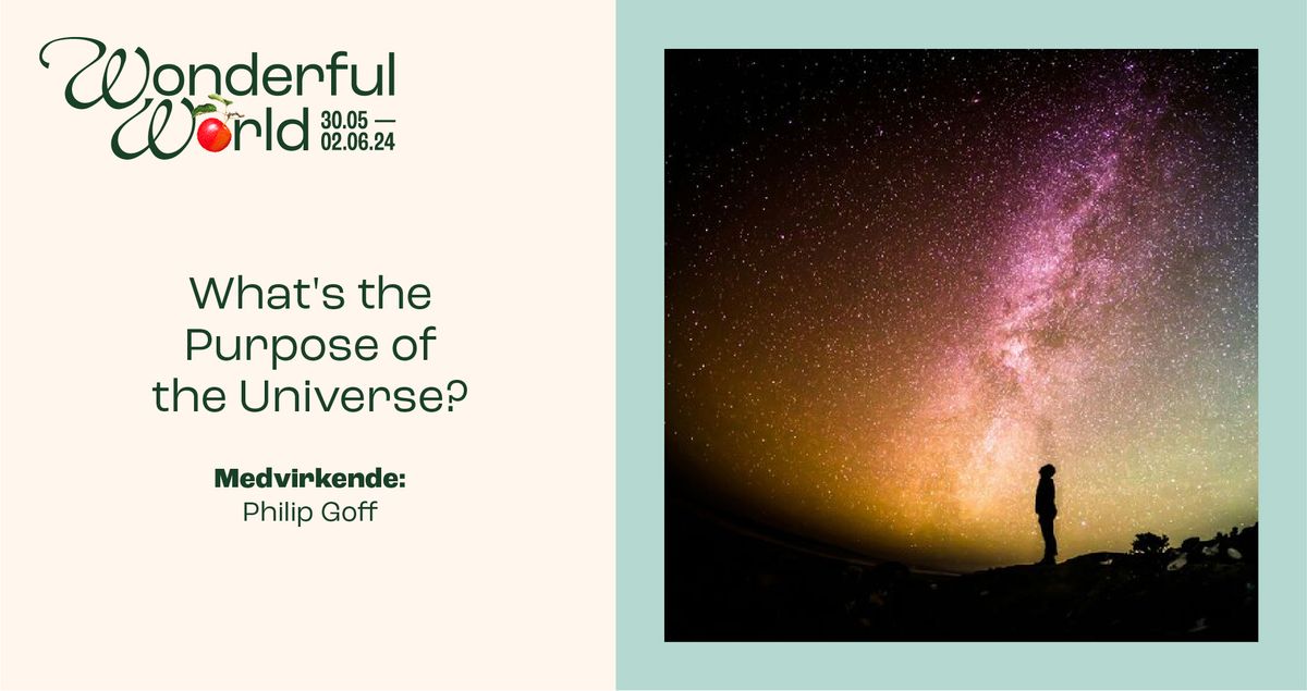 Philip Goff - What's the Purpose of the Universe?
