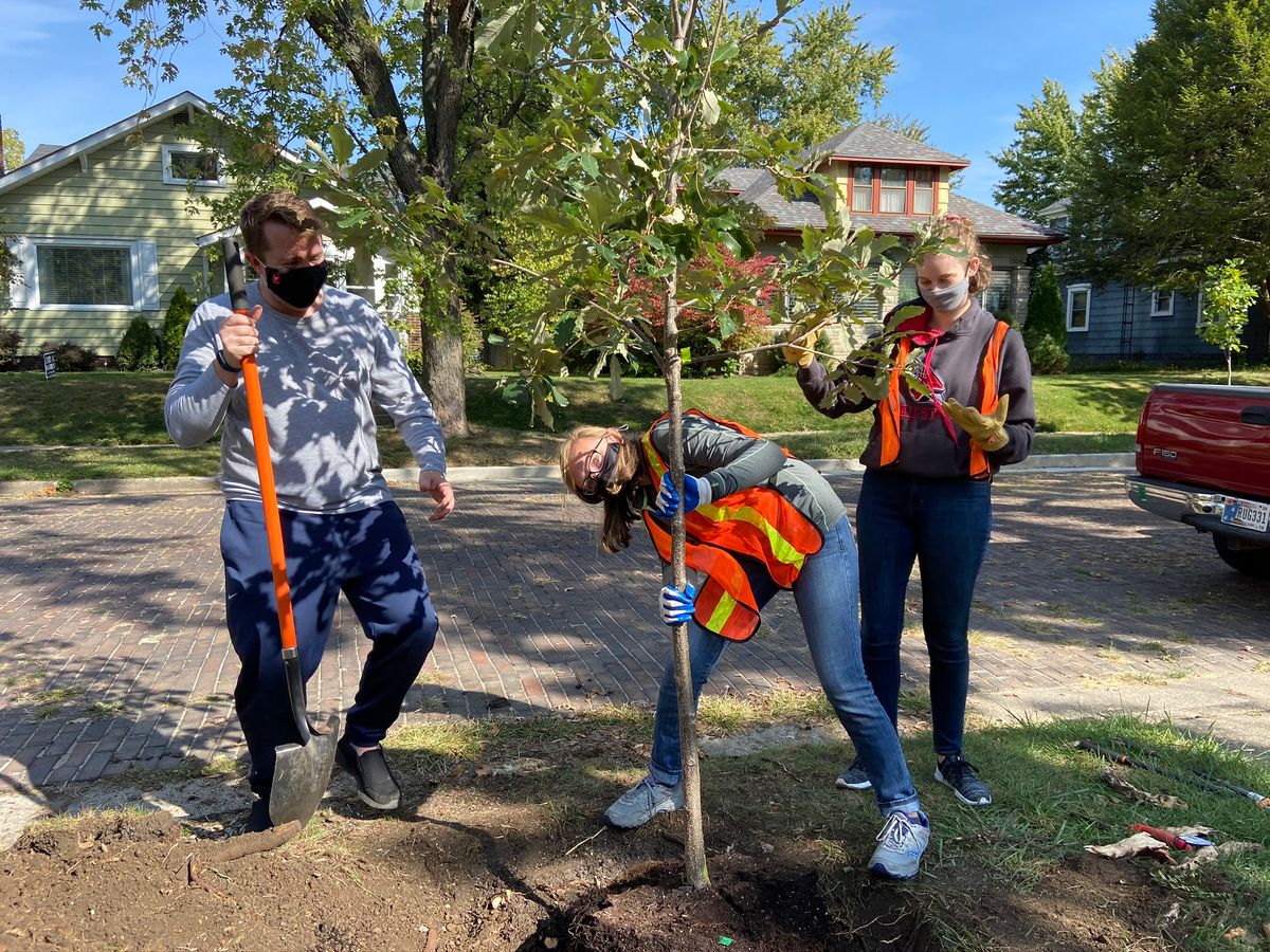 Fall Tree Planting