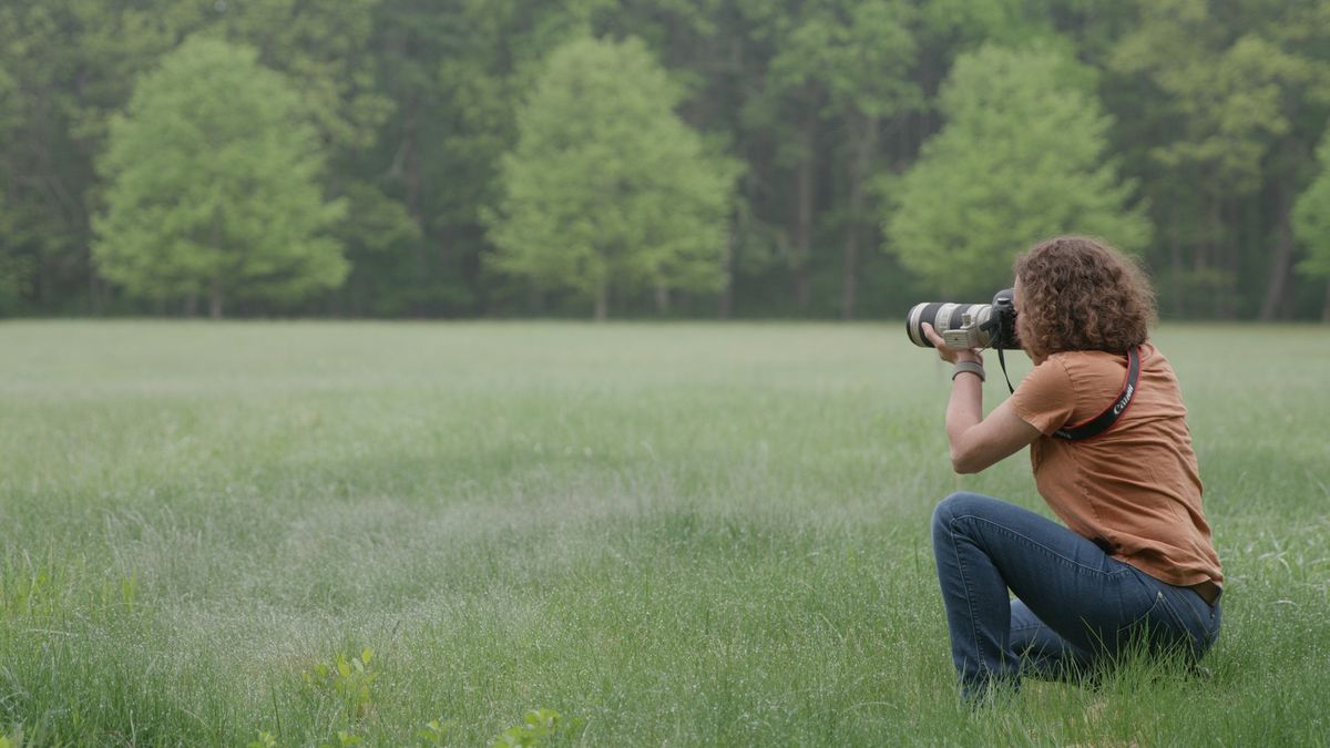 Introduction to Nature Photography