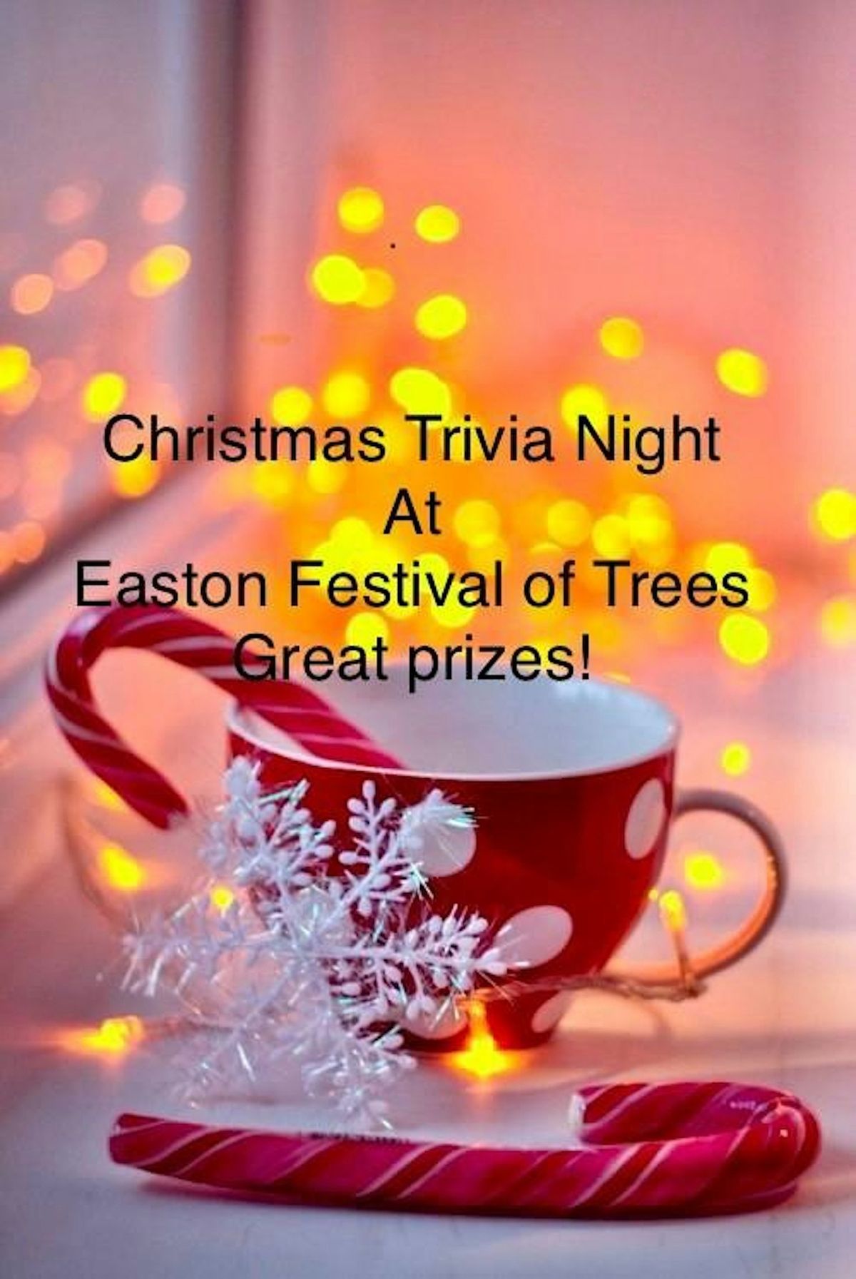 Christmas  Trivia Night