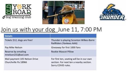 Bark in the Park Trenton Thunder