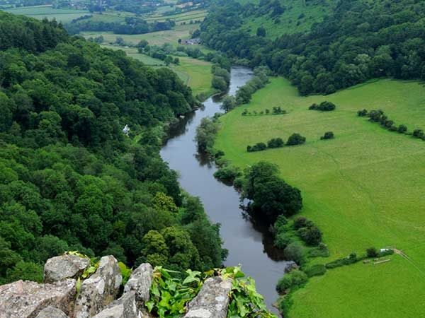 Three Night Yoga and Meditation retreat, Symonds Yat, South Wales