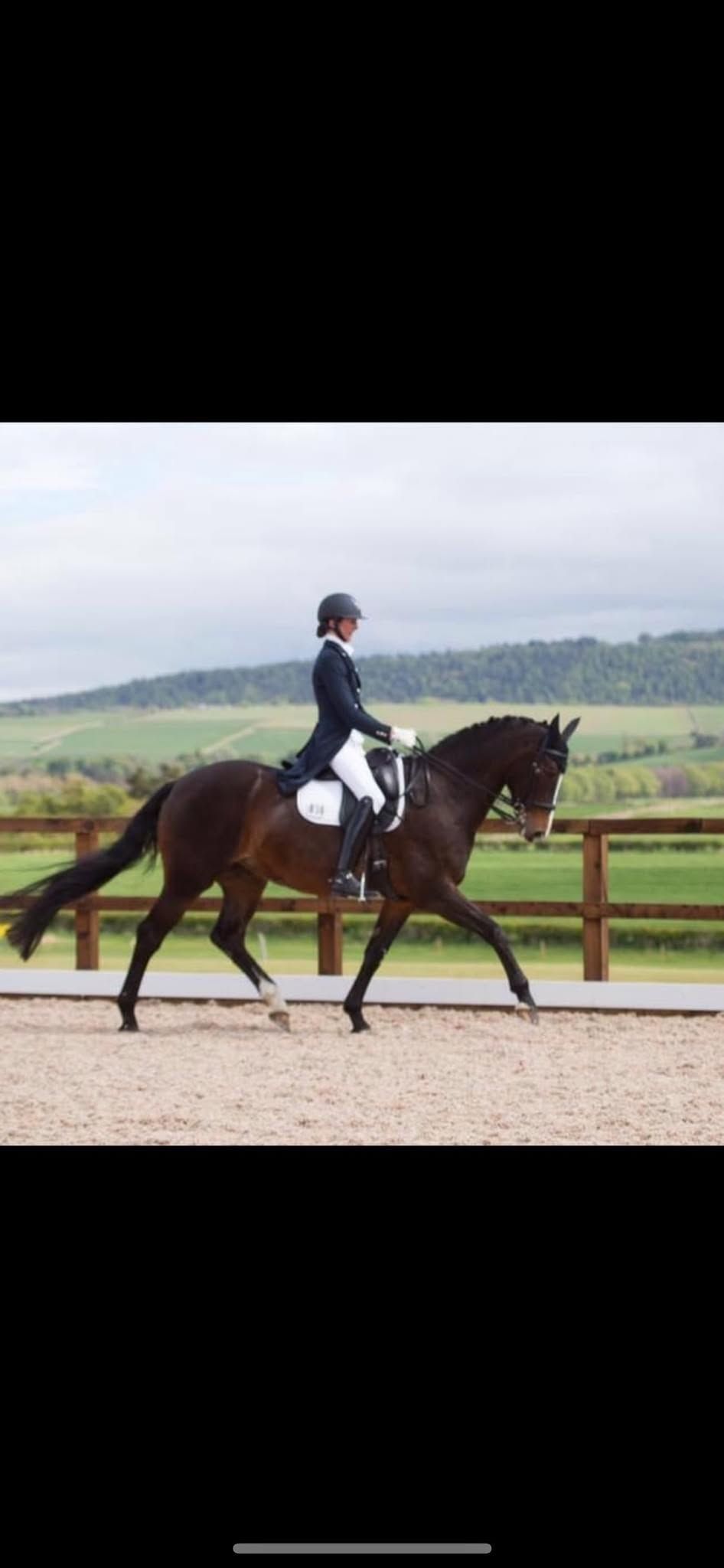 Linda Barnes Flatwork Training