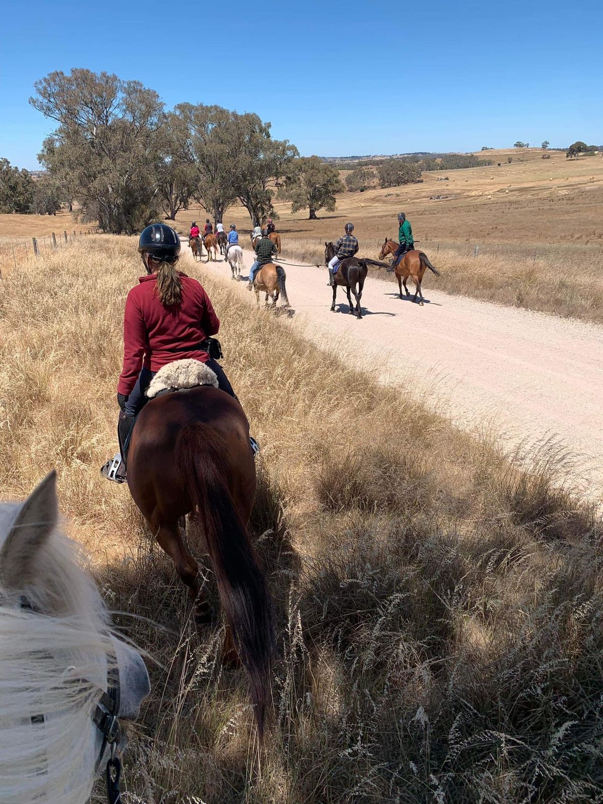 End of Season Trail Ride & AGM- Eden Valley