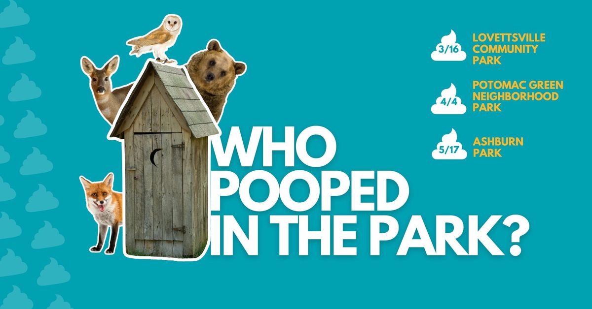 Who pooped in the park?