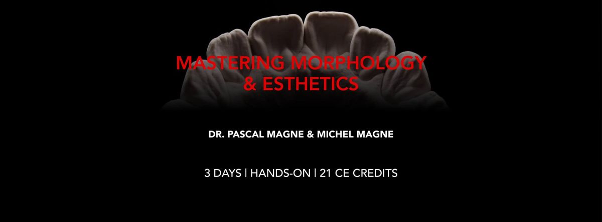 MASTERING MORPHOLOGY & ESTHETICS