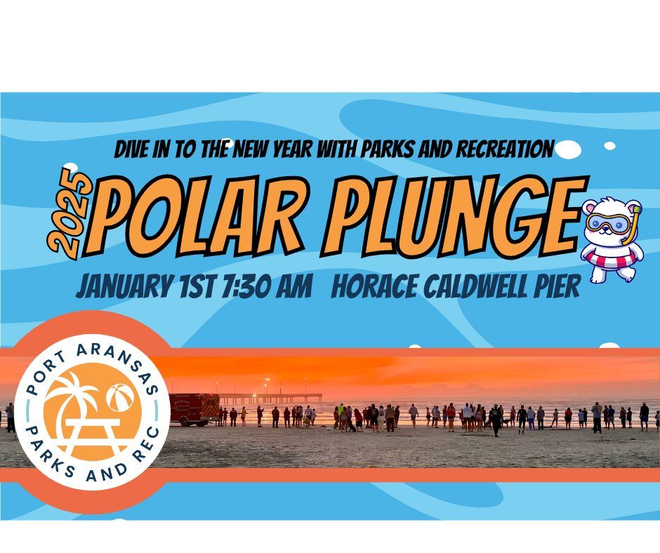 2025 Polar Plunge 