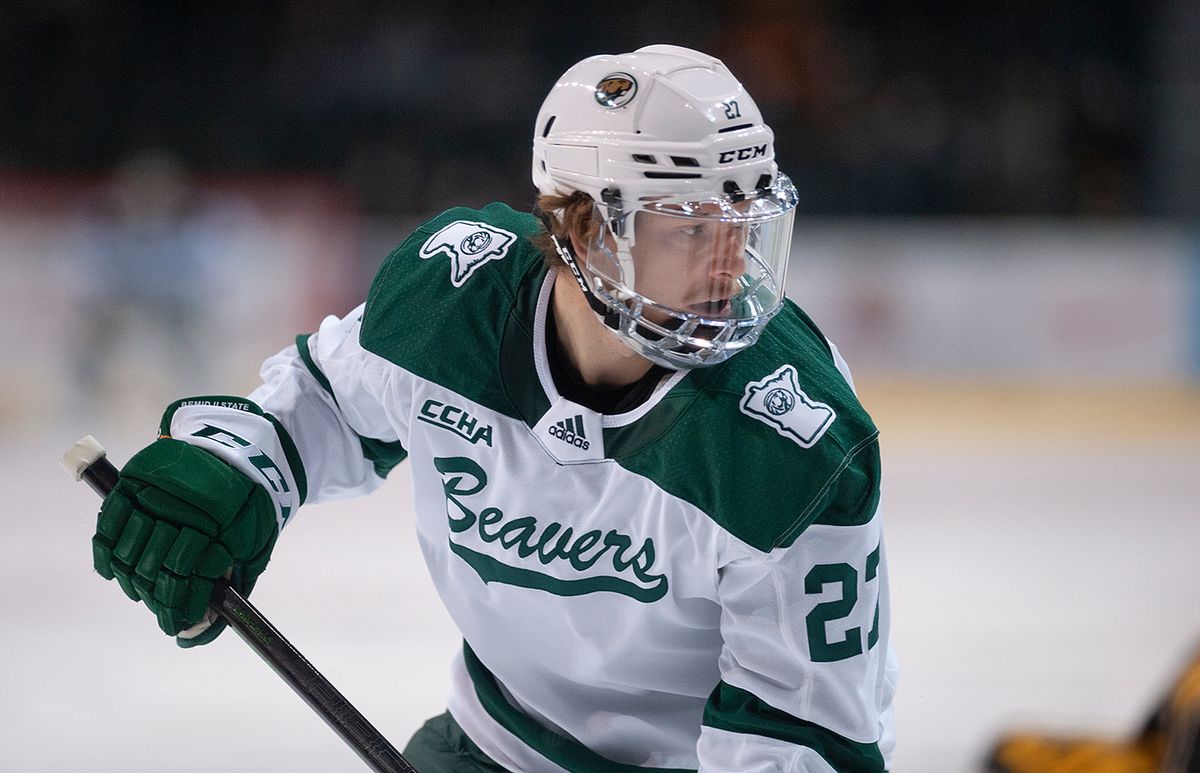 Northern Michigan Wildcats at Bemidji State Beavers Mens Hockey