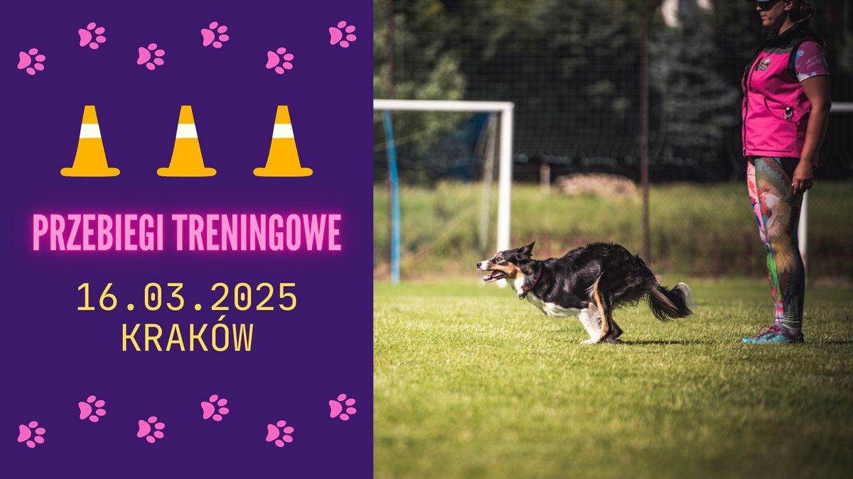 Marcowe przebiegi treningowe obedience - Krak\u00f3w 