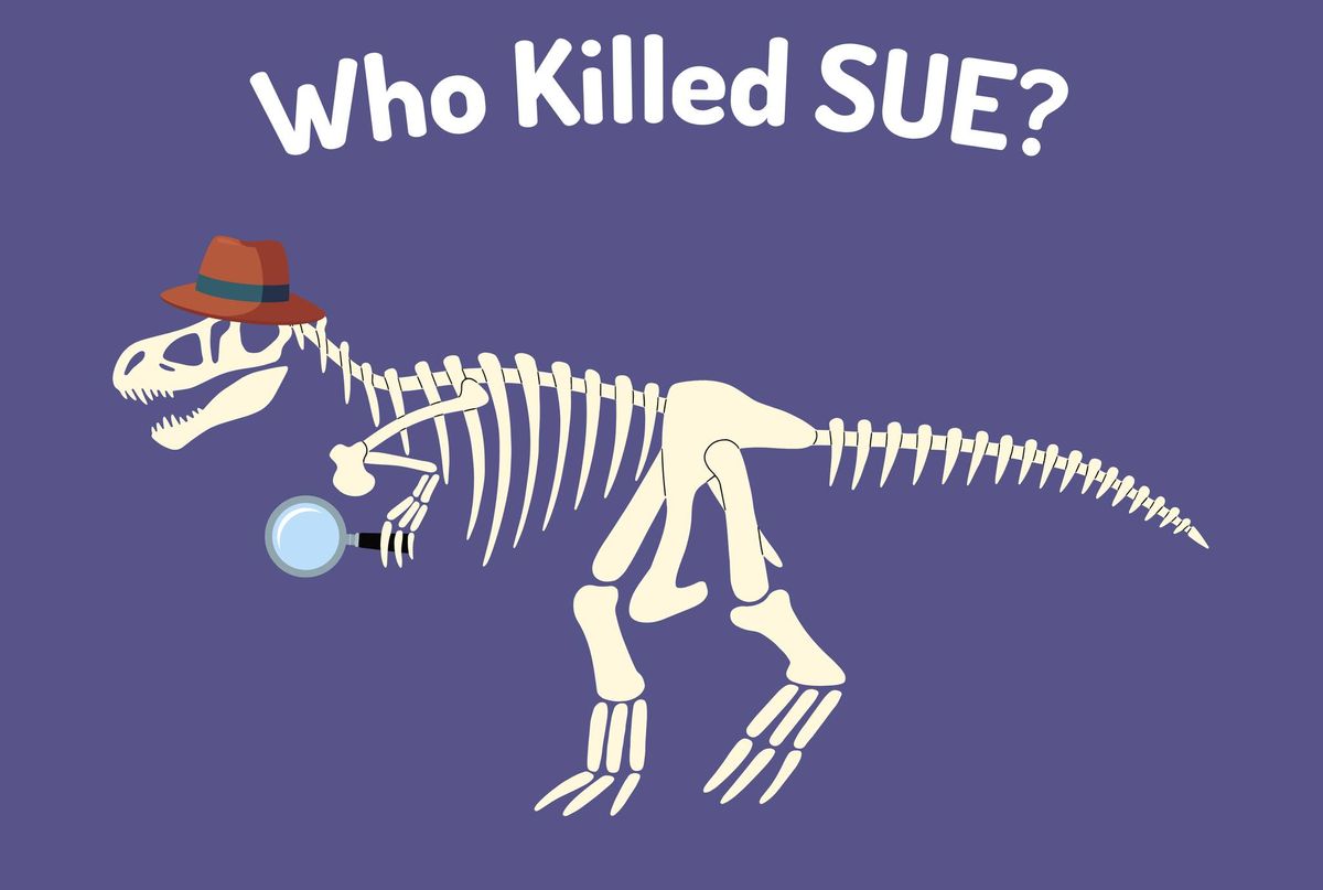 Who Killed Sue? - A Dino-Sized Mystery!