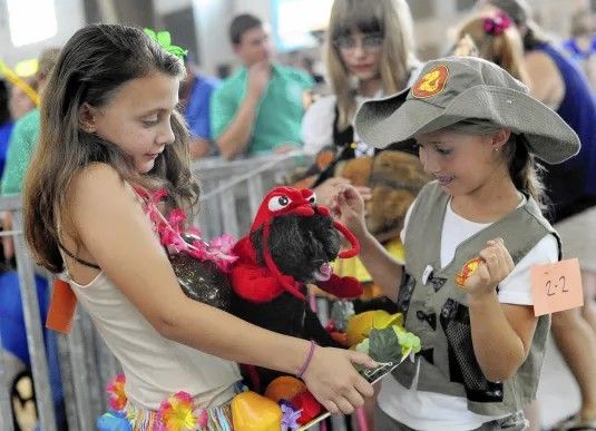 Clover small pet show and Small animal Dress up Contest